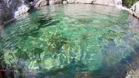 みたらい渓谷の写真・動画_image_203549