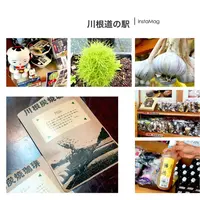 川根温泉ふれあいの泉の写真・動画_image_203557