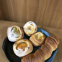 パーニス ダ・ヴィンチの写真・動画_image_203609