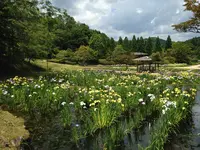 矢野温泉公園四季の里の写真・動画_image_203649