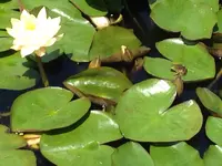 神宮寺の写真・動画_image_203773