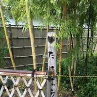 竹原市の写真・動画_image_203811