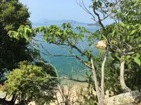 大久野島の写真・動画_image_203823