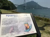 大三島の写真・動画_image_203832