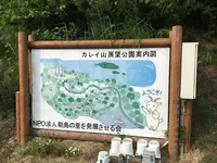 大島の写真・動画_image_203845