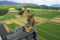 勝山城博物館の写真・動画_image_203876
