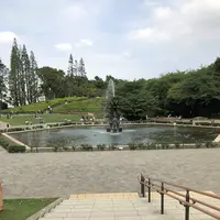 世田谷公園の写真・動画_image_203948