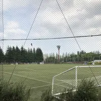 世田谷公園の写真・動画_image_203949