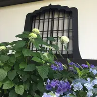 長谷寺の写真・動画_image_204001