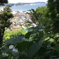 長谷寺の写真・動画_image_204021