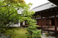 仁和寺の写真・動画_image_204034