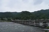 渡月橋の写真・動画_image_204041