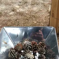 福岡ローマン渓谷オートキャンプ場の写真・動画_image_204049