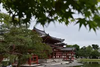 平等院の写真・動画_image_204056