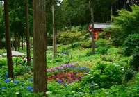三室戸寺の写真・動画_image_204063