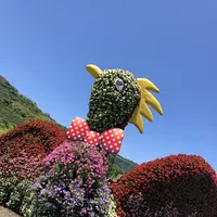 国営明石海峡公園の写真・動画_image_204095