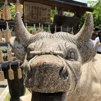 三室戸寺の写真・動画_image_204118