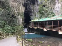秋芳洞の写真・動画_image_204122