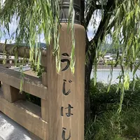宇治橋の写真・動画_image_204124