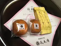 萩本陣の写真・動画_image_204150