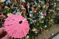 松陰神社の写真・動画_image_204154