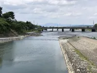 朝霧橋の写真・動画_image_204155