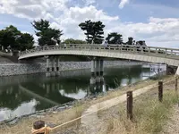 朝霧橋の写真・動画_image_204157