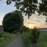 水道路［相模原市］（バス）の写真・動画_image_204197