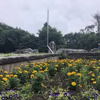 智光山公園中央広場の写真・動画_image_204383