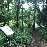 智光山公園中央広場の写真・動画_image_204385
