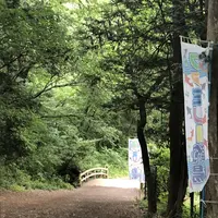 智光山公園前山池の写真・動画_image_204401