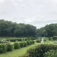 智光山公園前山池の写真・動画_image_204404