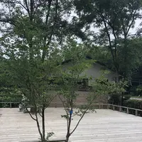 智光山公園前山池の写真・動画_image_204410