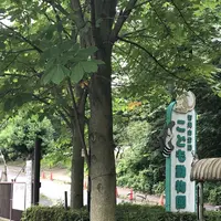 智光山公園子供動物園の写真・動画_image_204416