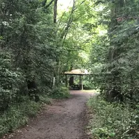 智光山公園子供動物園の写真・動画_image_204419