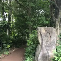 智光山公園子供動物園の写真・動画_image_204422