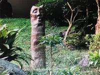 高麗神社の写真・動画_image_204497