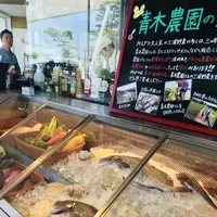 MARINE & FARM 佐島の写真・動画_image_204544