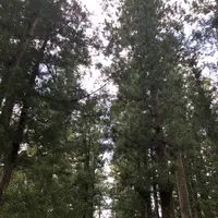 熊野本宮大社の写真・動画_image_204551