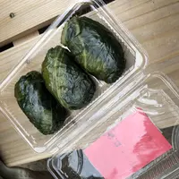 熊野古道　大門坂の写真・動画_image_204557