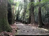 熊野古道　大門坂の写真・動画_image_204558