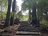 熊野古道　大門坂の写真・動画_image_204559