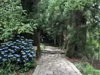 熊野古道　大門坂の写真・動画_image_204560