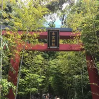 來宮神社の写真・動画_image_204831