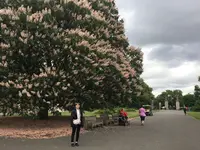 ロイヤル・ボタニック・ガーデンズ, キュー(Royal Botanic Gardens, Kew)の写真・動画_image_205004