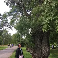 ロイヤル・ボタニック・ガーデンズ, キュー(Royal Botanic Gardens, Kew)の写真・動画_image_205006