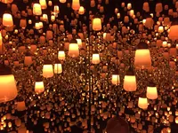 【閉業】森ビルデジタルアートミュージアム：エプソン チームラボボーダレス（MORI Building Digital Art Museum: EPSON teamLab Borderless）の写真・動画_image_205058