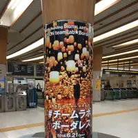 【閉業】森ビルデジタルアートミュージアム：エプソン チームラボボーダレス（MORI Building Digital Art Museum: EPSON teamLab Borderless）の写真・動画_image_205067