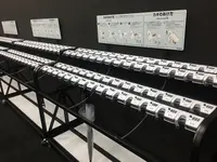 【閉業】森ビルデジタルアートミュージアム：エプソン チームラボボーダレス（MORI Building Digital Art Museum: EPSON teamLab Borderless）の写真・動画_image_205074