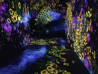 【閉業】森ビルデジタルアートミュージアム：エプソン チームラボボーダレス（MORI Building Digital Art Museum: EPSON teamLab Borderless）の写真・動画_image_205077